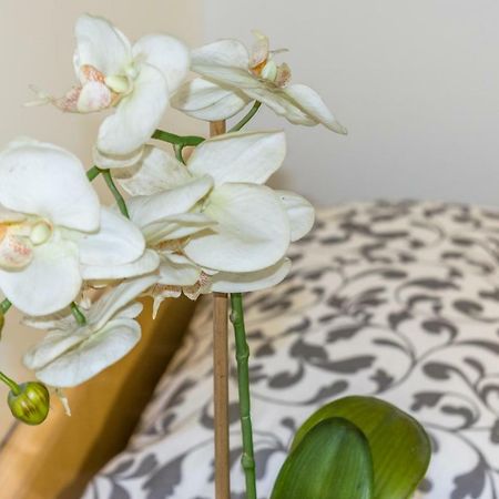 La Campanella Apartment Модена Екстериор снимка